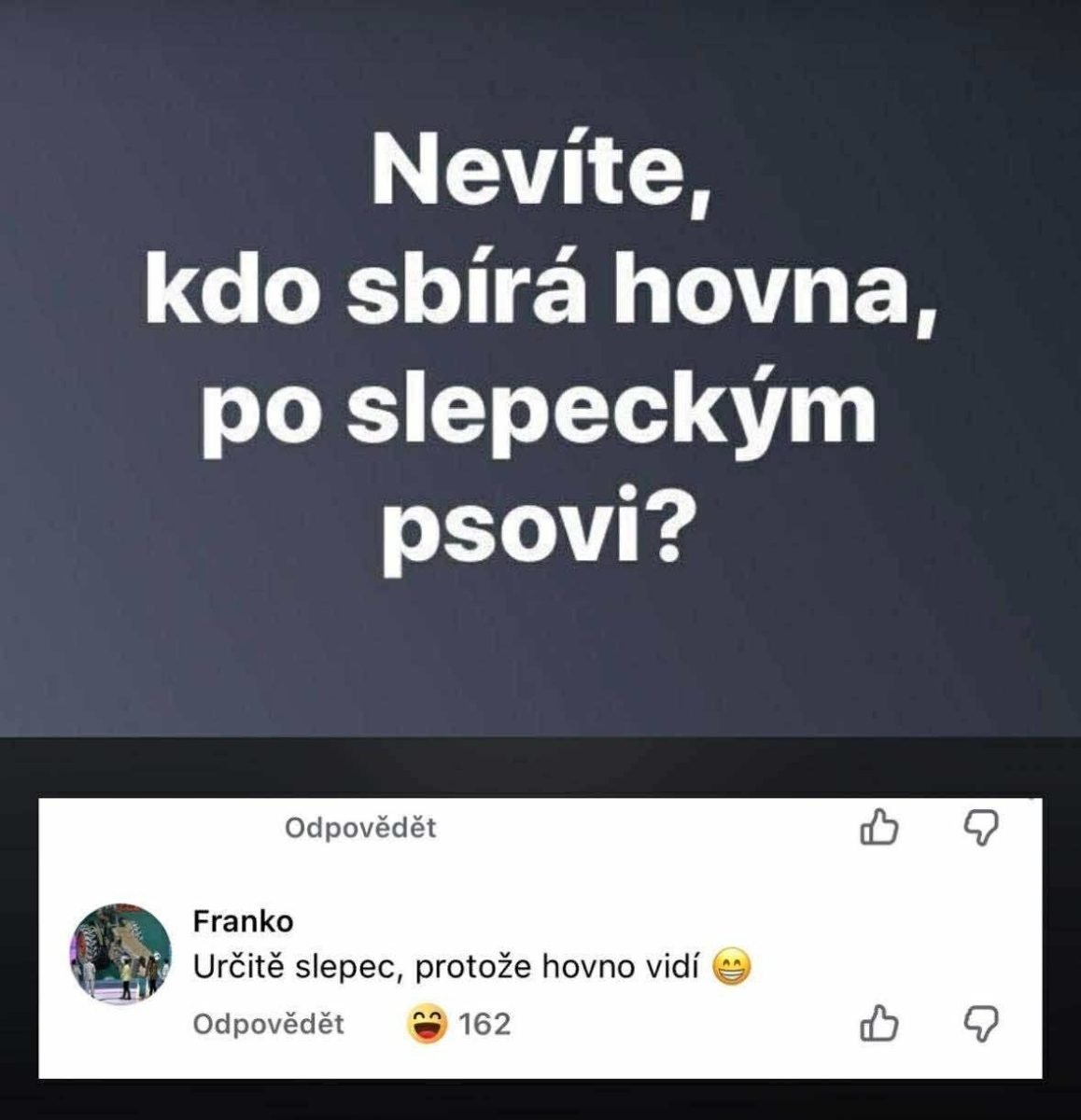 Humorný príspevok: Kto zbiera po slepeckých psoch? Odpoveď vtipne naznačuje, že zrakovo postihnutý majiteľ.