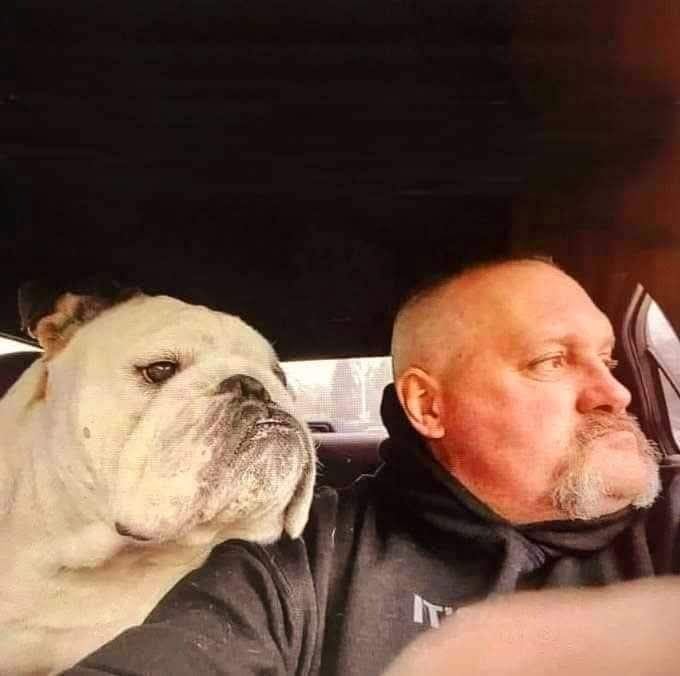Muž a anglický buldog v aute pozerajú von oknom, zdieľajúc zamyslený moment.