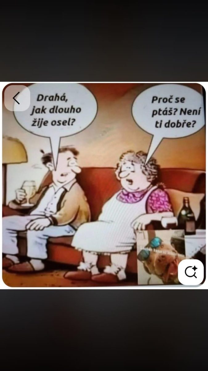 Muž a žena na pohovke vedú veselý rozhovor o dĺžke života osloveného osla.