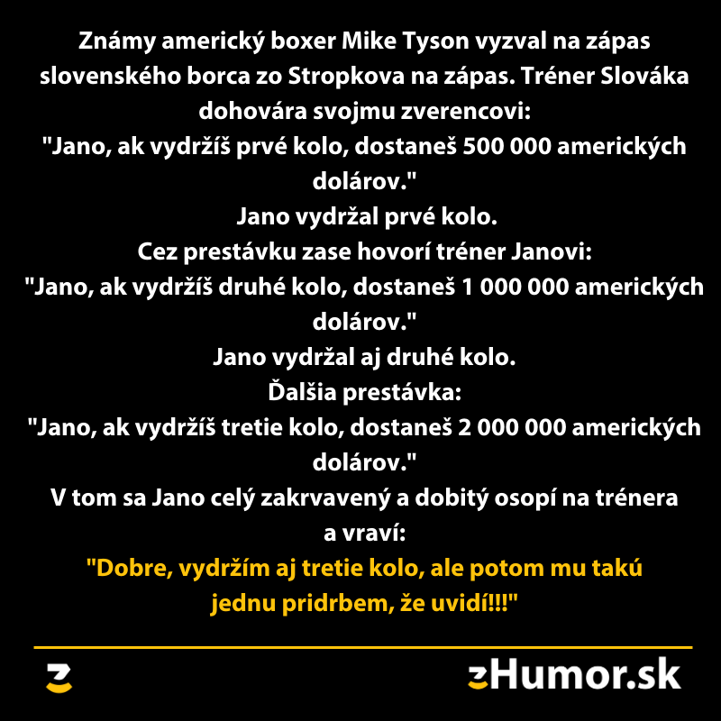 Boxer Mike Tyson vyzval slovenského borca; tréner sľubuje odmenu za každé vydržané kolo. Jano má však svoju vlastnú