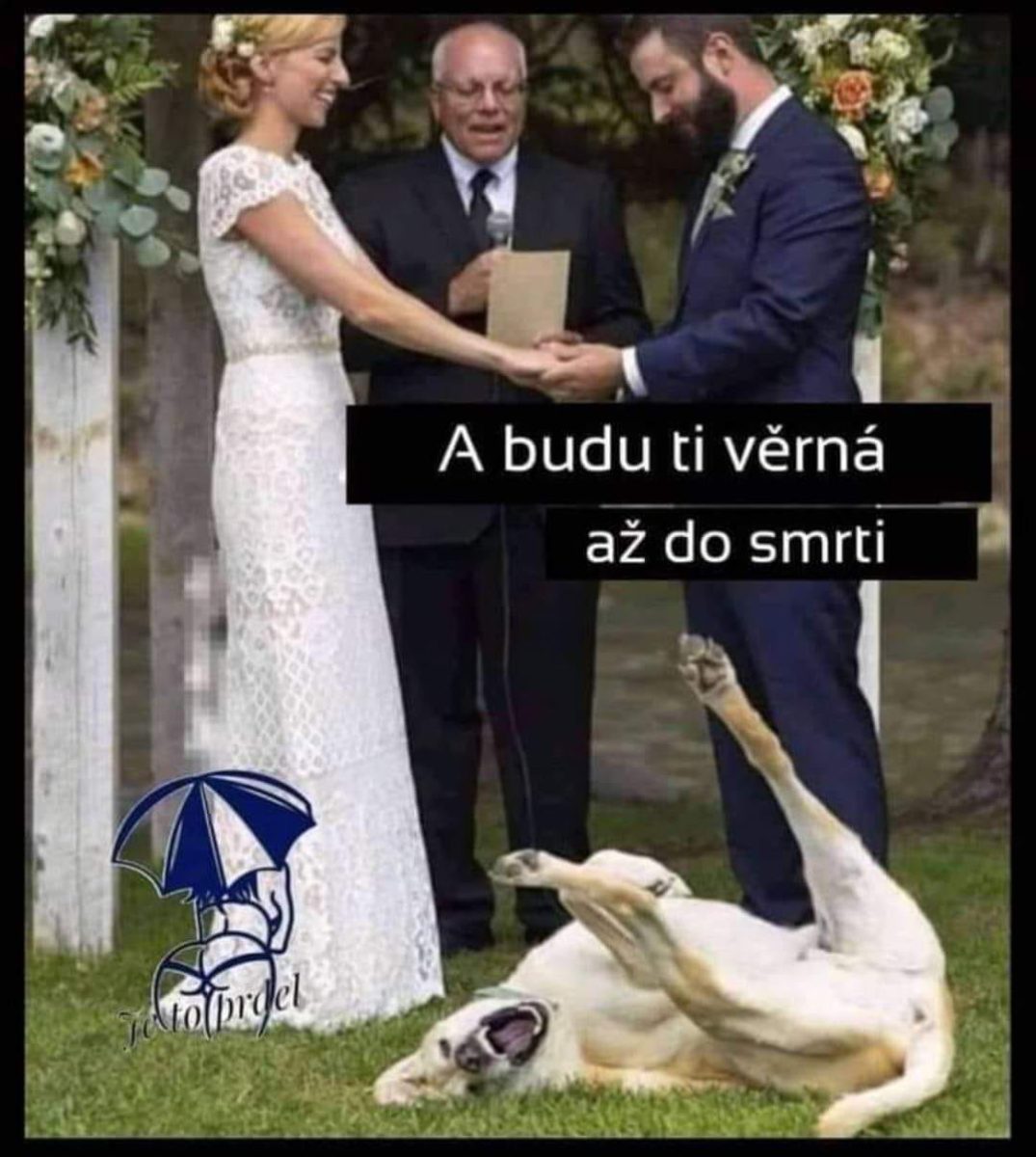 Nevesta a ženích počas svadobného obradu, pes v pozadí leží na tráve vtipne so zdvihnutými labkami.