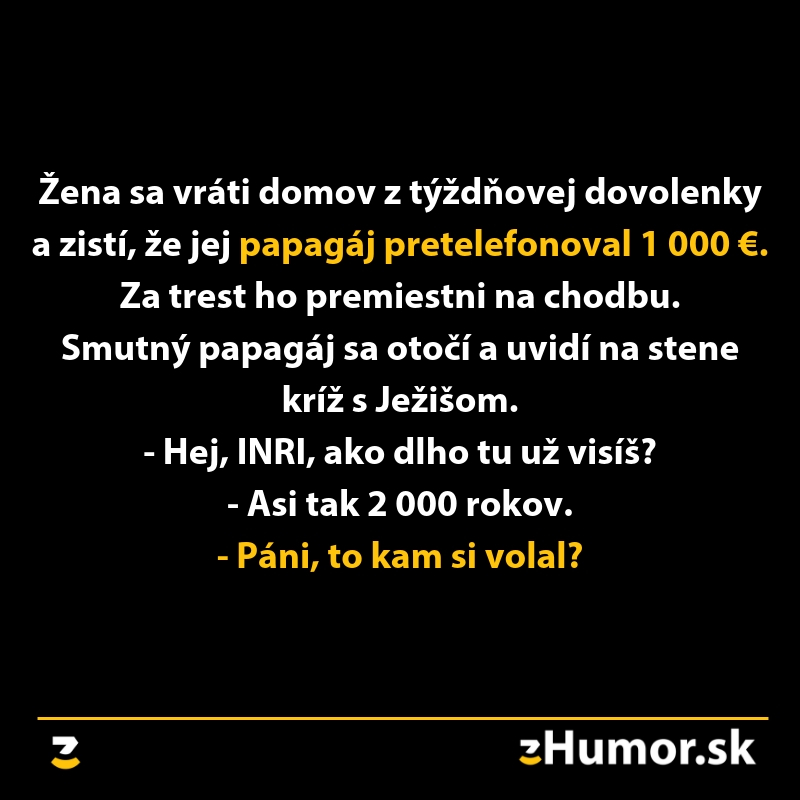 Papagáj pretelefonoval 1000 €, majiteľka ho premiestni vedľa kríža s Ježišom, nasledoval vtipný dialóg.