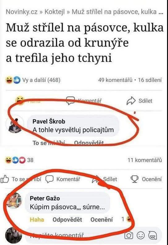 Odpoveď na vtipný incident so streľbou na pásovca, komentáre pobavia čitateľov na sociálnej sieti.