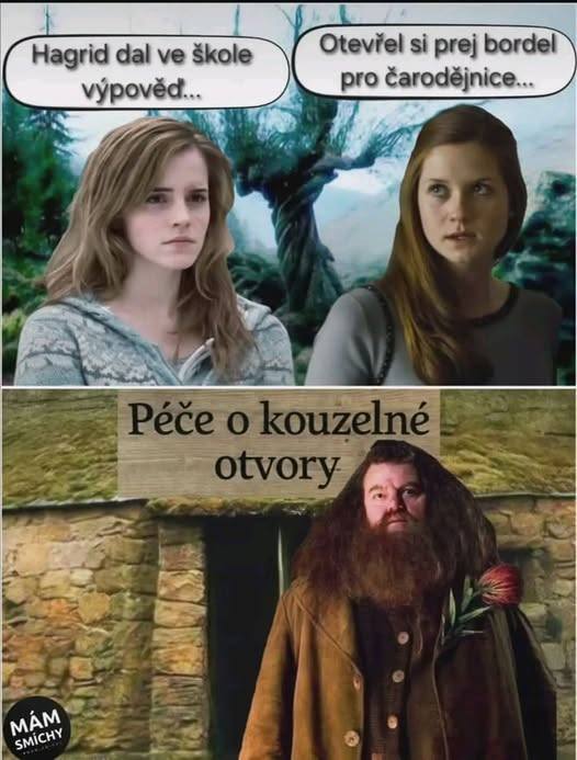 Hagrid odišiel zo školy a otvoril magický obchod, dievčatá sa rozprávajú, čo sa môže stať.