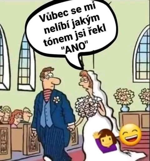 Kreslený vtip s nevestou kritizujúcou tón ženícha pri svadobnom obrade, s kyticami a emotikonmi.