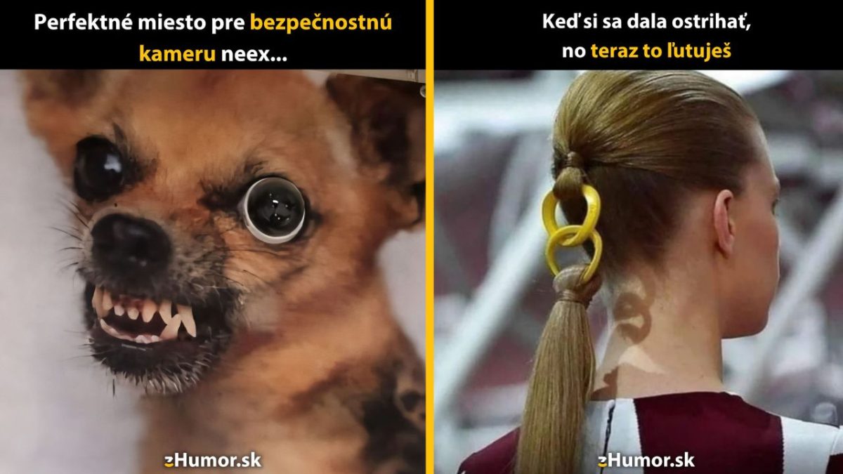 Pes s kamerou místo oka a žena s neobvyklým účesom, humorný kontrast.