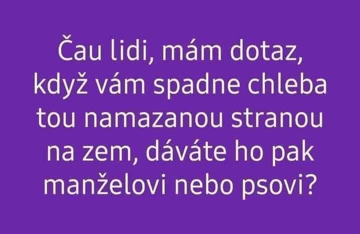 Vtipný text o páde chleba na zem namazanou stranou a otázka, komu ho dáte, či manželovi alebo psovi.