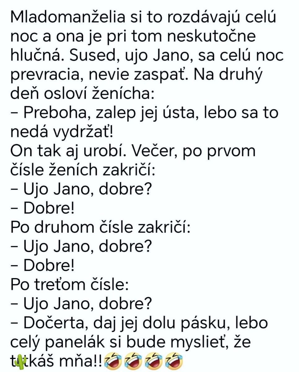 Zábavný dialóg medzi susedmi o hlučnej noci mladomanželov s humorom a nečakanou reakciou.