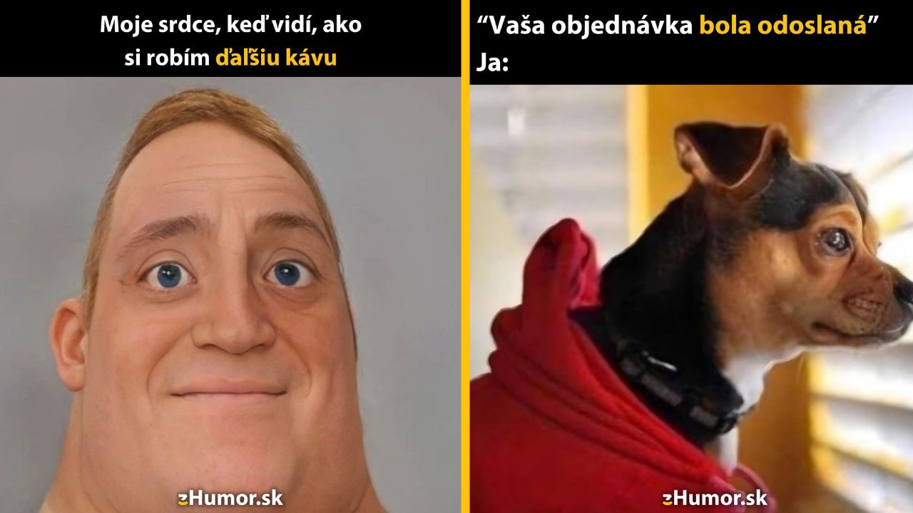 Muž s veselým výrazom a pes s komickým pohľadom reagujú na momenty každodenného života.