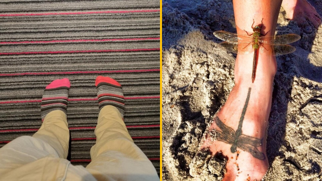 Osoba s pruhovanými ponožkami na koberci a vážka pristátá na nohe v piesku.