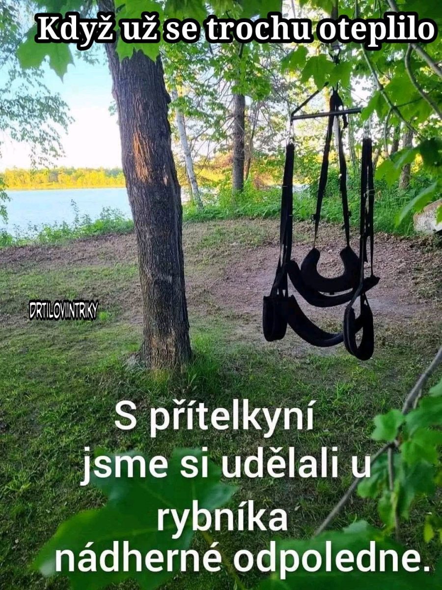 Hojdačka na strome pri rybníku v slnečnom dni; dokonalé miesto na relax v prírode.