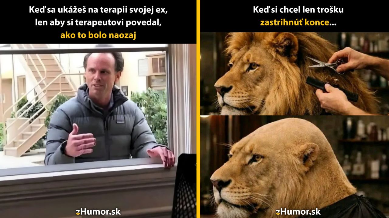 Muž pri okne a lev vtipne zobrazujú prekvapenie z neočakávanej situácie na terapii a v kaderníctve.