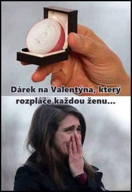 Krabička s cibuľou ako vtipný valentínsky dar pre ženu s nadpisom „Darček, ktorý rozplače každú ženu.“