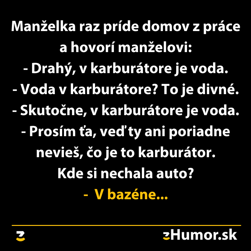 Vtipný dialóg manželov o aute a karburátore s prekvapivou pointou - auto skončilo v bazéne.