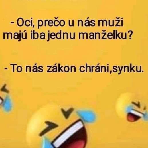 Otec vysvetľuje synovi, prečo muži môžu mať len jednu manželku, s úsmevom v emoji štýle.