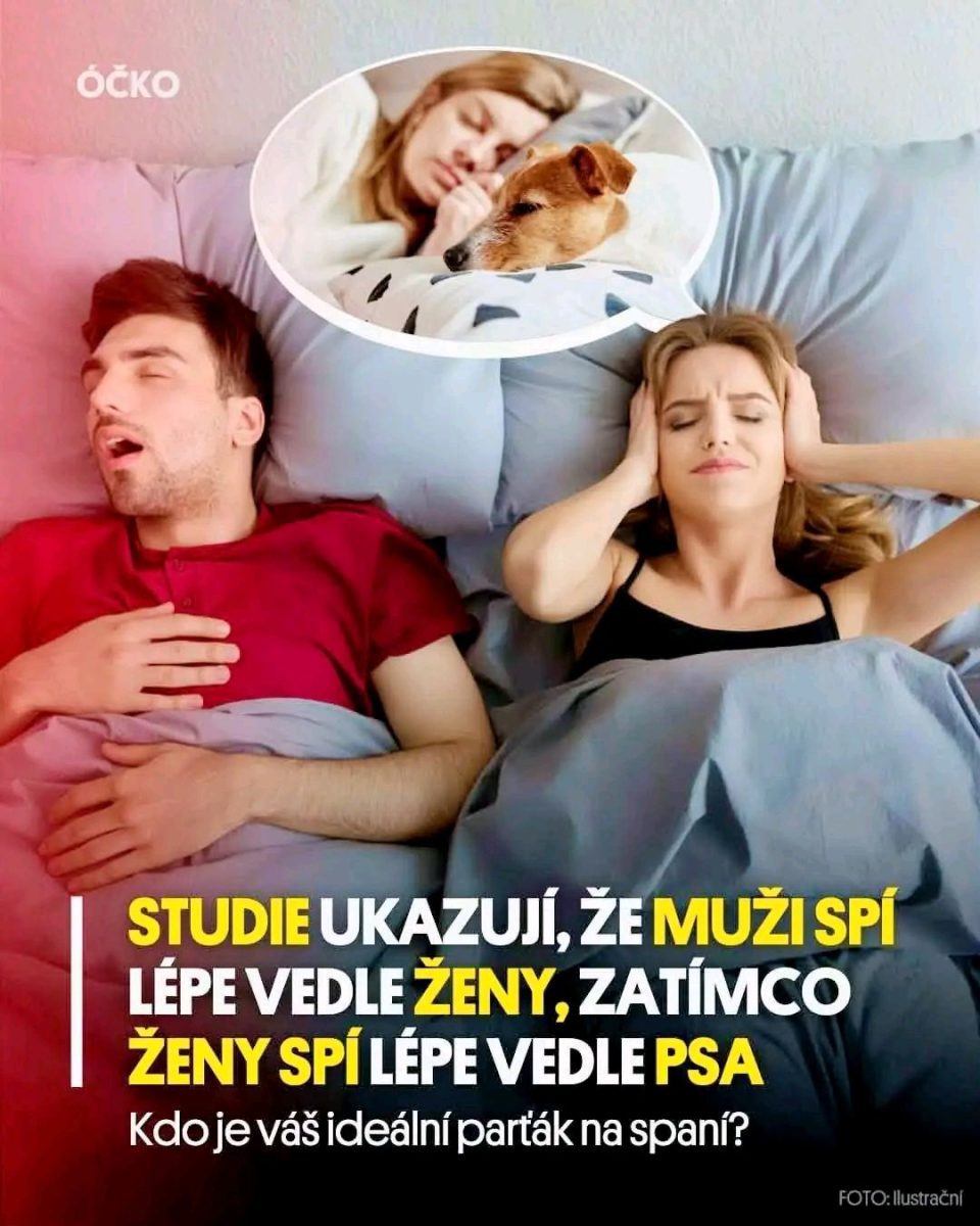 Muž a žena v posteli, žena si zakrýva uši pred chrápaním partnera, sníva o tom, že spí pokojne s psíkom.