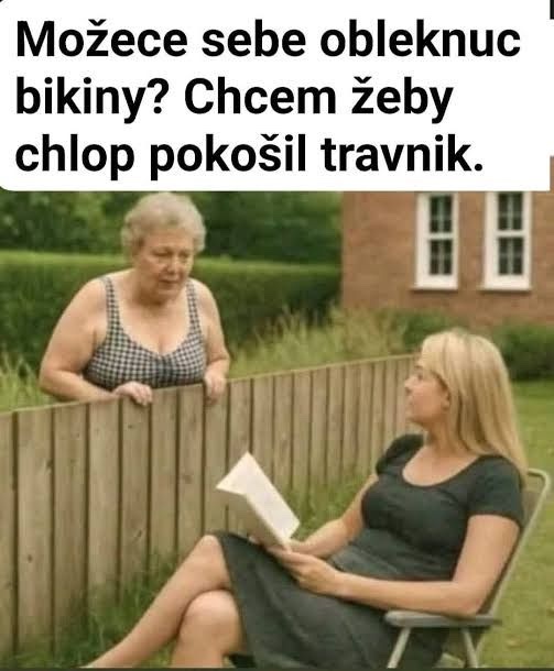 Starenka pri plote žiada sediacu ženu o pomoc s kosením trávy v humornej konverzácii.
