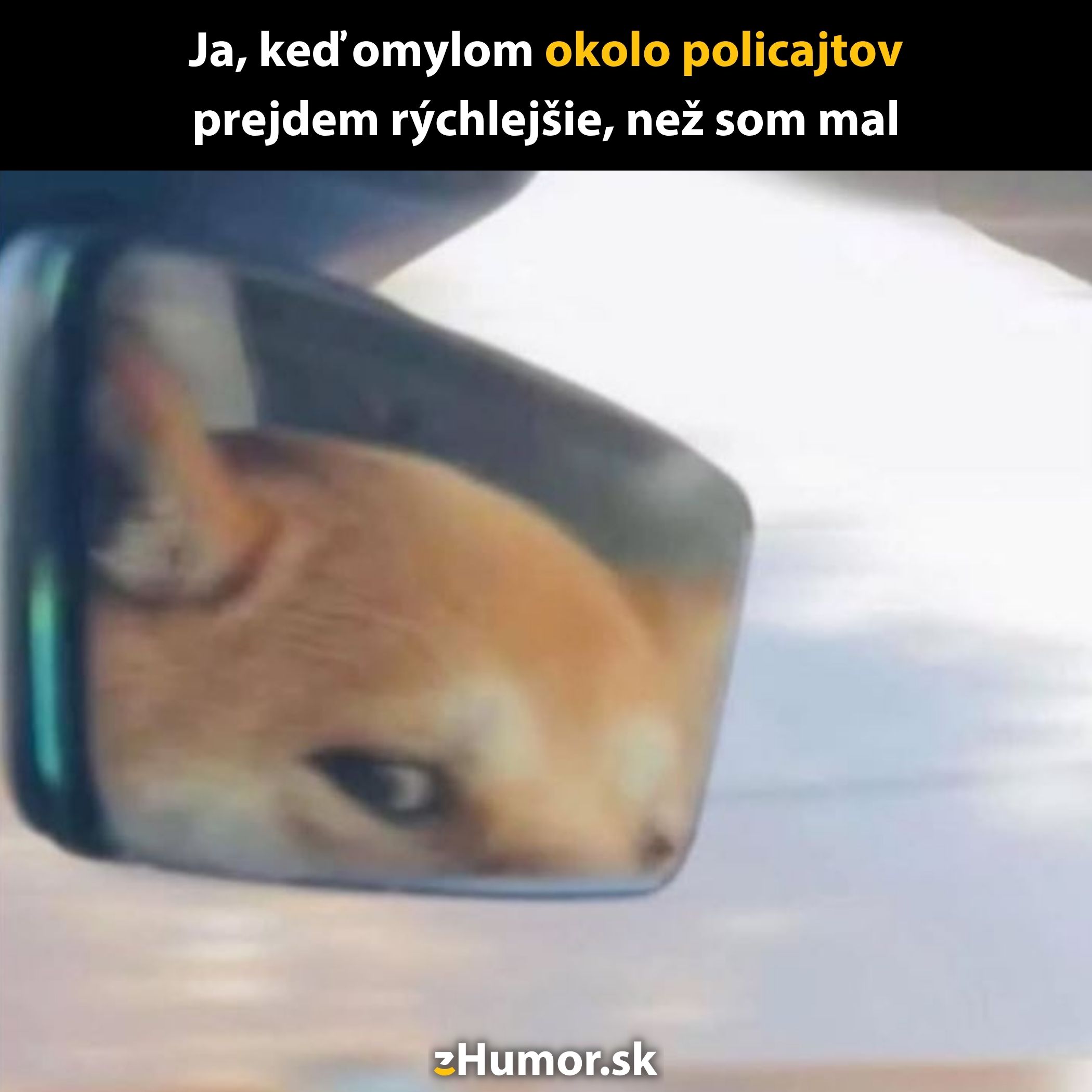 Auto spätné zrkadlo so psom, vystrašeným rýchlou jazdou okolo policajtov.