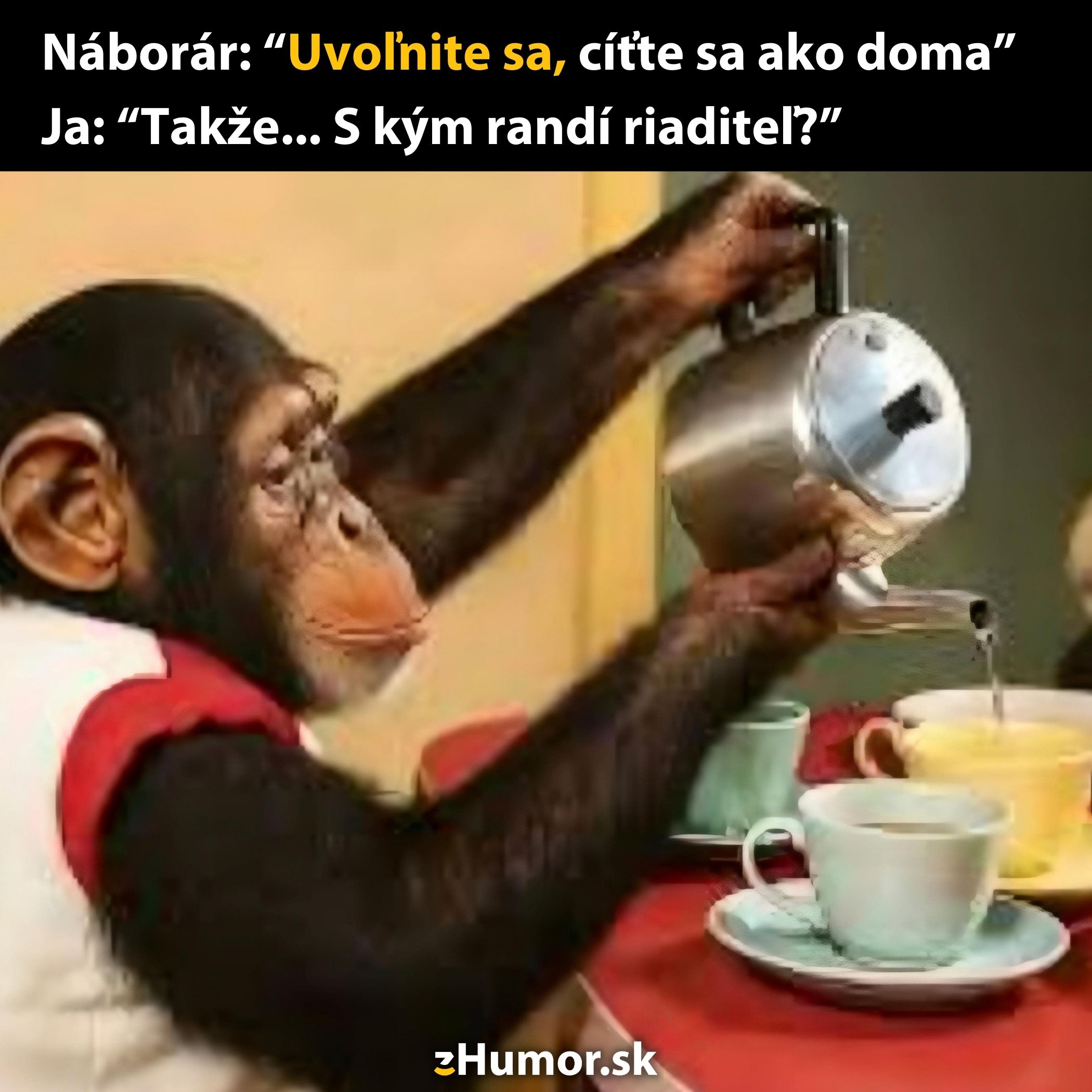 Opička nalieva čaj, zábavný text o pracovnom pohovore s uvoľnenou atmosférou kancelárie.