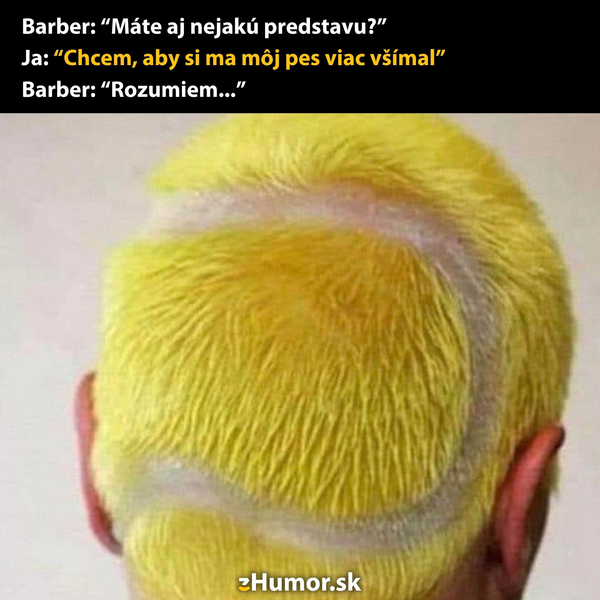 Človek s účesom žltým ako tenisová loptička, s kruhom na hlave. Vtipný pohľad zozadu.