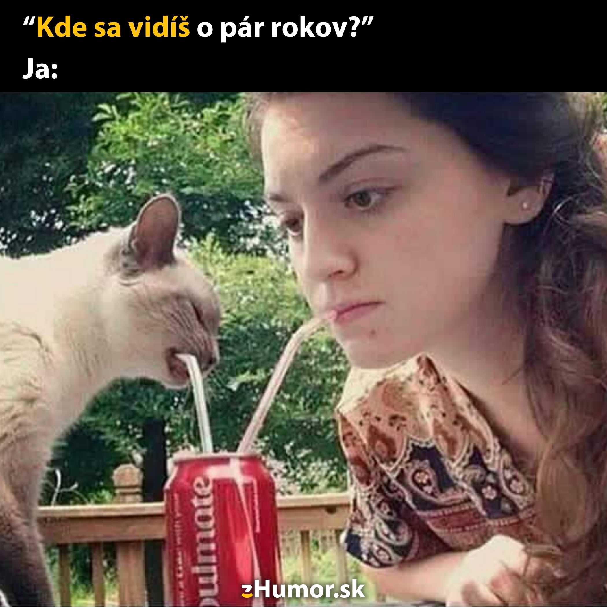 Žena a mačka pijú z jednej plechovky s dvoma slamkami, zábavný moment na terase.