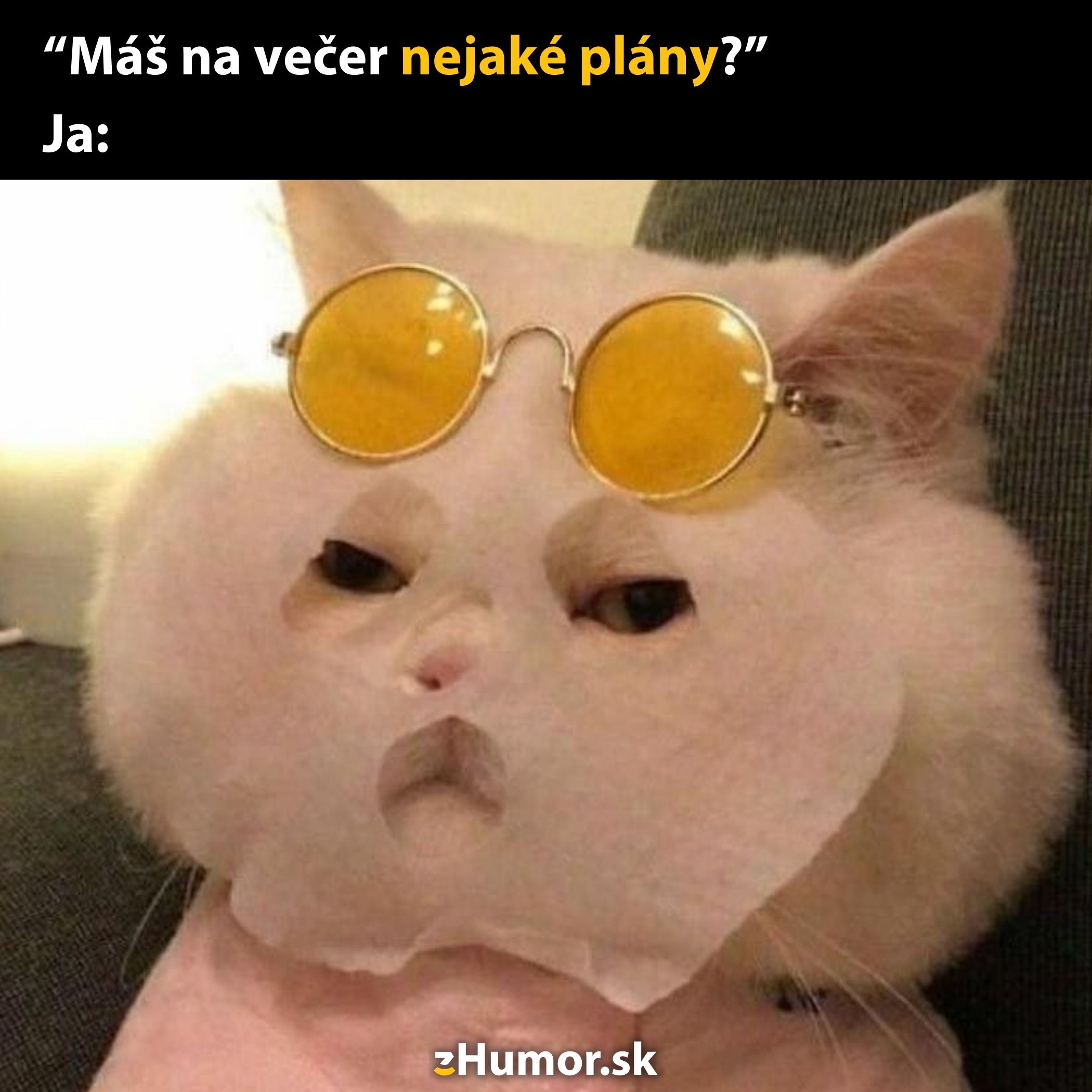 Mačka s maskou na tvár a slnečnými okuliarmi relaxuje na gauči, pripravená na pohodový večer.