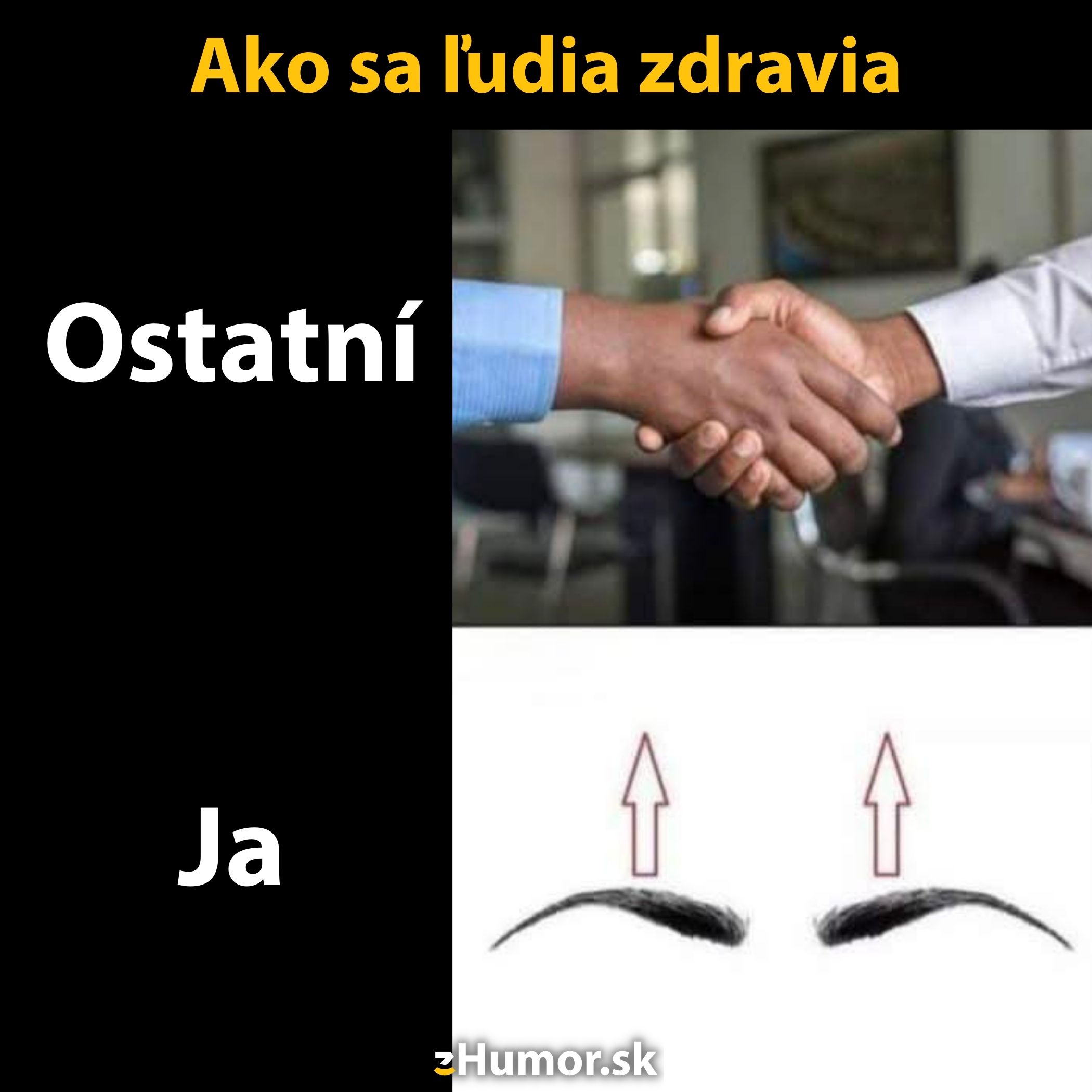 Porovnanie zdravenia: podanie ruky vs. zdvihnutie obočia. Humoristický pohľad na bežné interakcie.