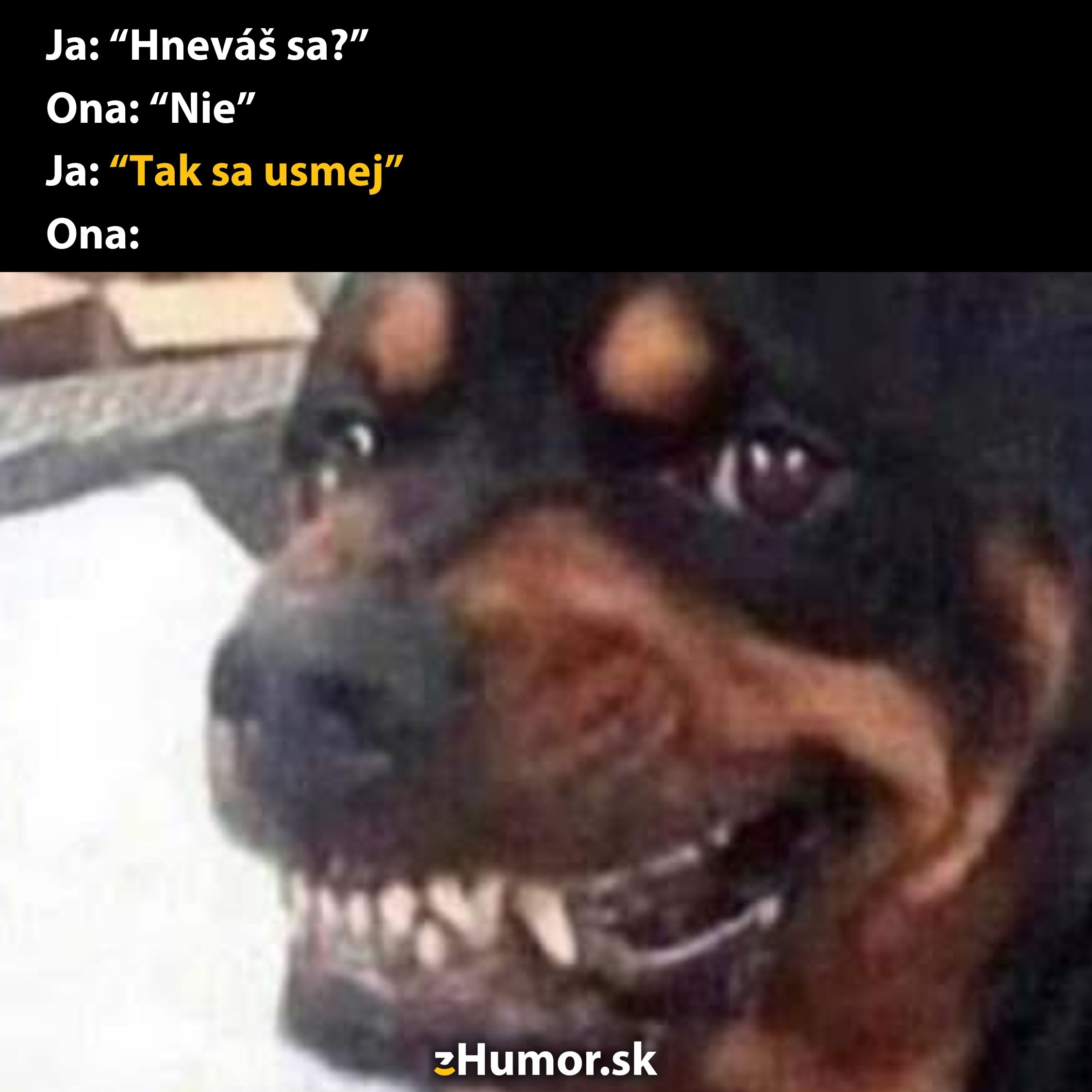 Pes s úsmevom, reakcia na otázku, či sa hnevá, vtipný text o usmievaní na stránke Humor.sk.