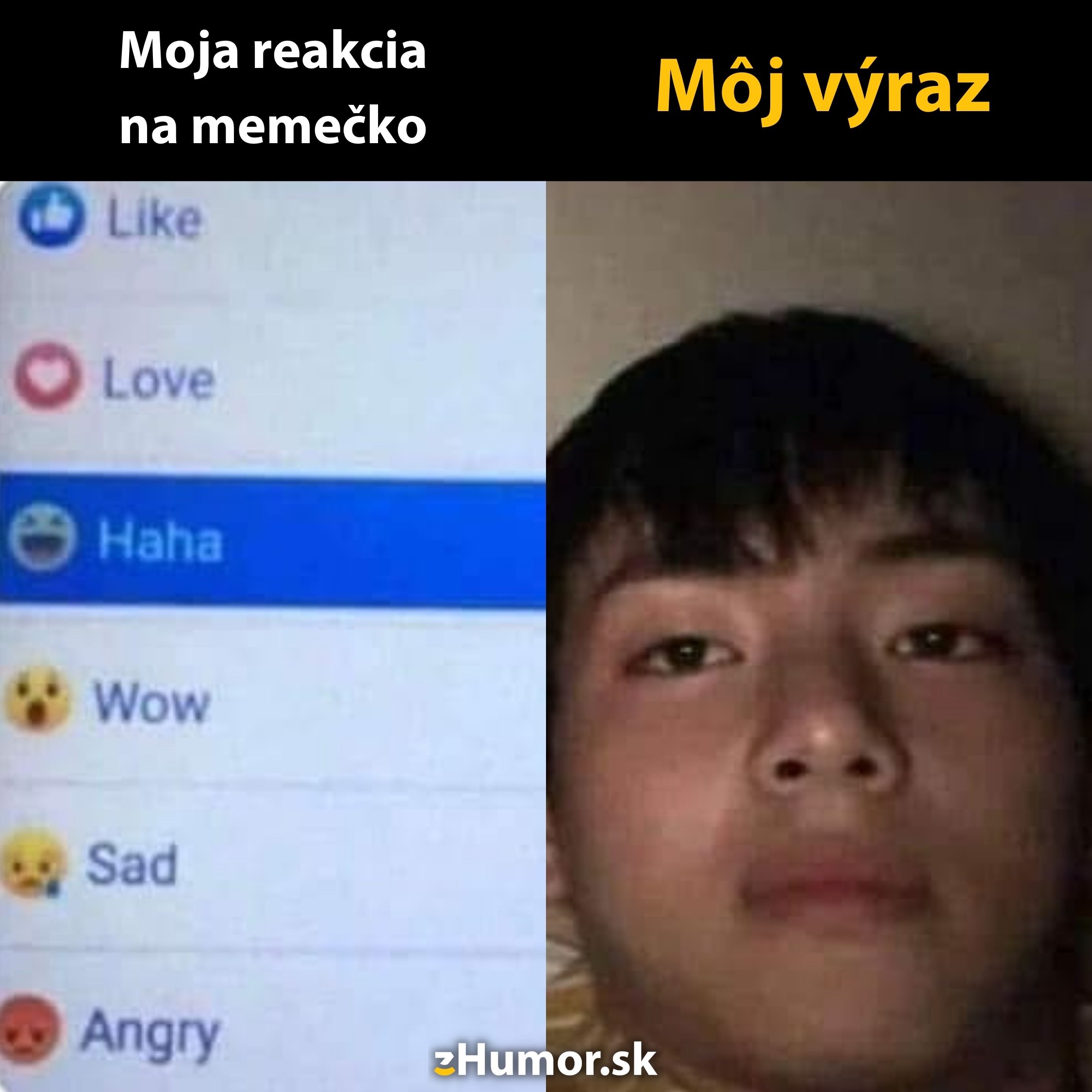 Reakcia Haha na meme, ale tvár zostáva vážna. Smeje sa vnútri, no nevidieť to navonok.
