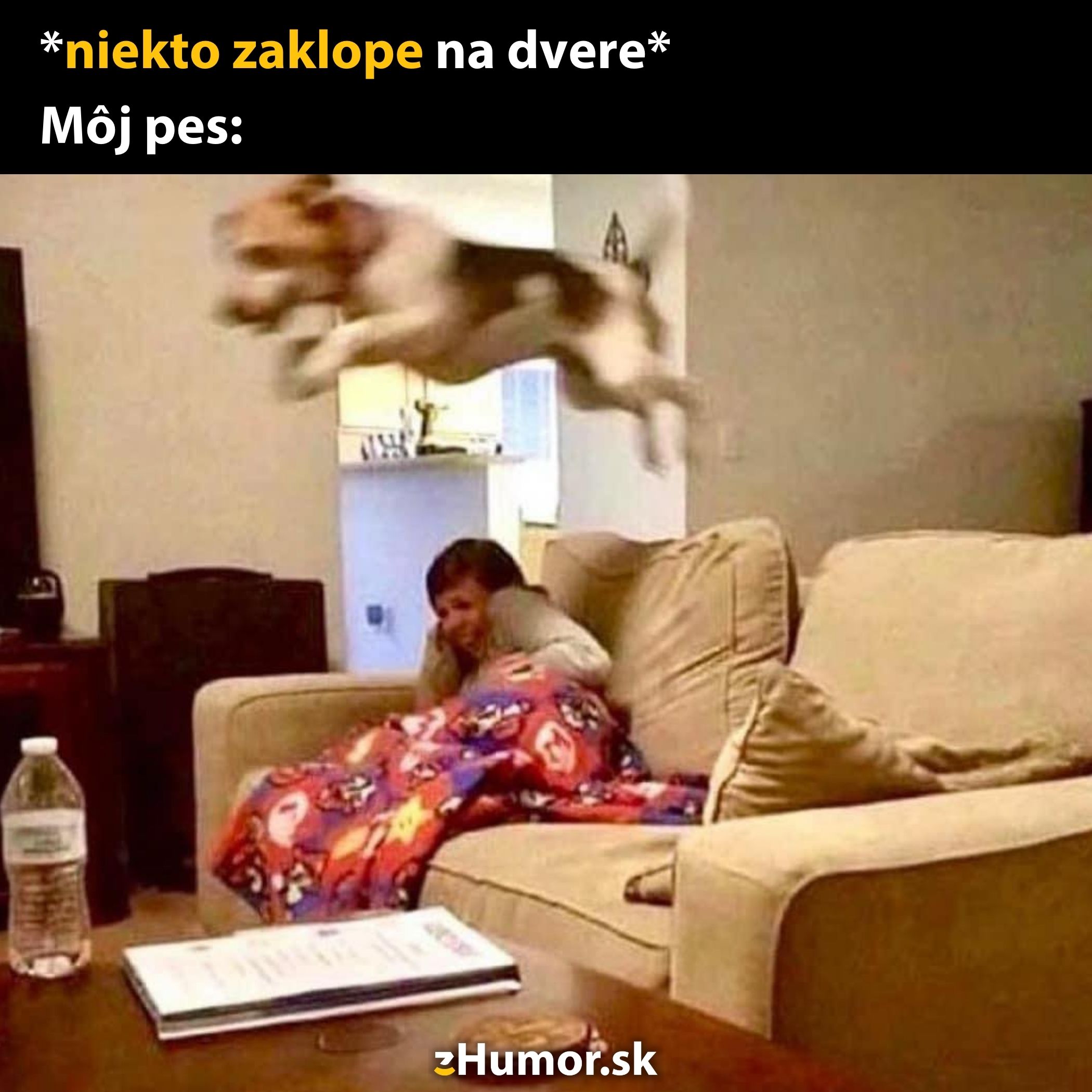 Pes skáče z gauča, keď niekto klopie na dvere, vedľa sediaca žena sa smeje pod dekou.