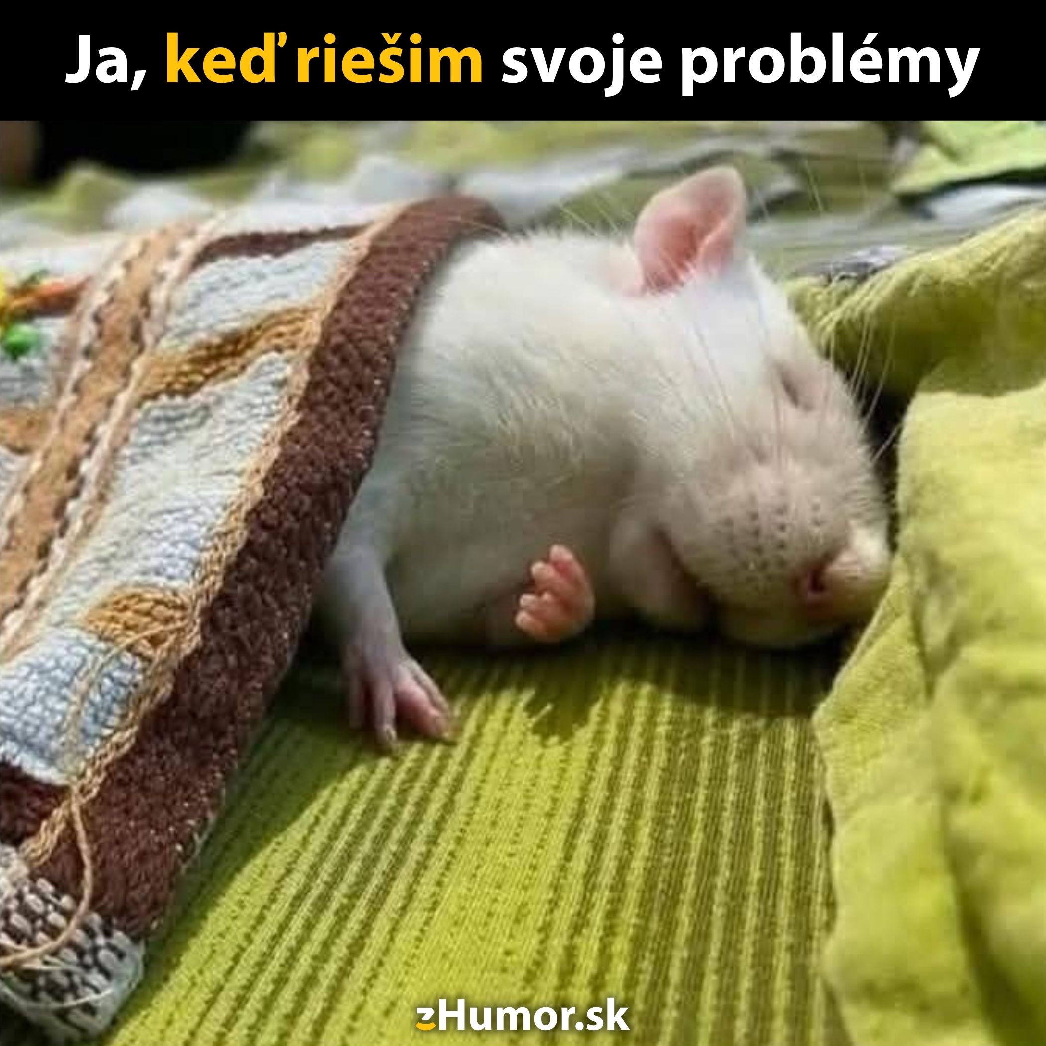 Spiaca myš pod dekou na zelenom pozadí, s textom Ja, keď riešim svoje problémy pre humornú atmosféru.