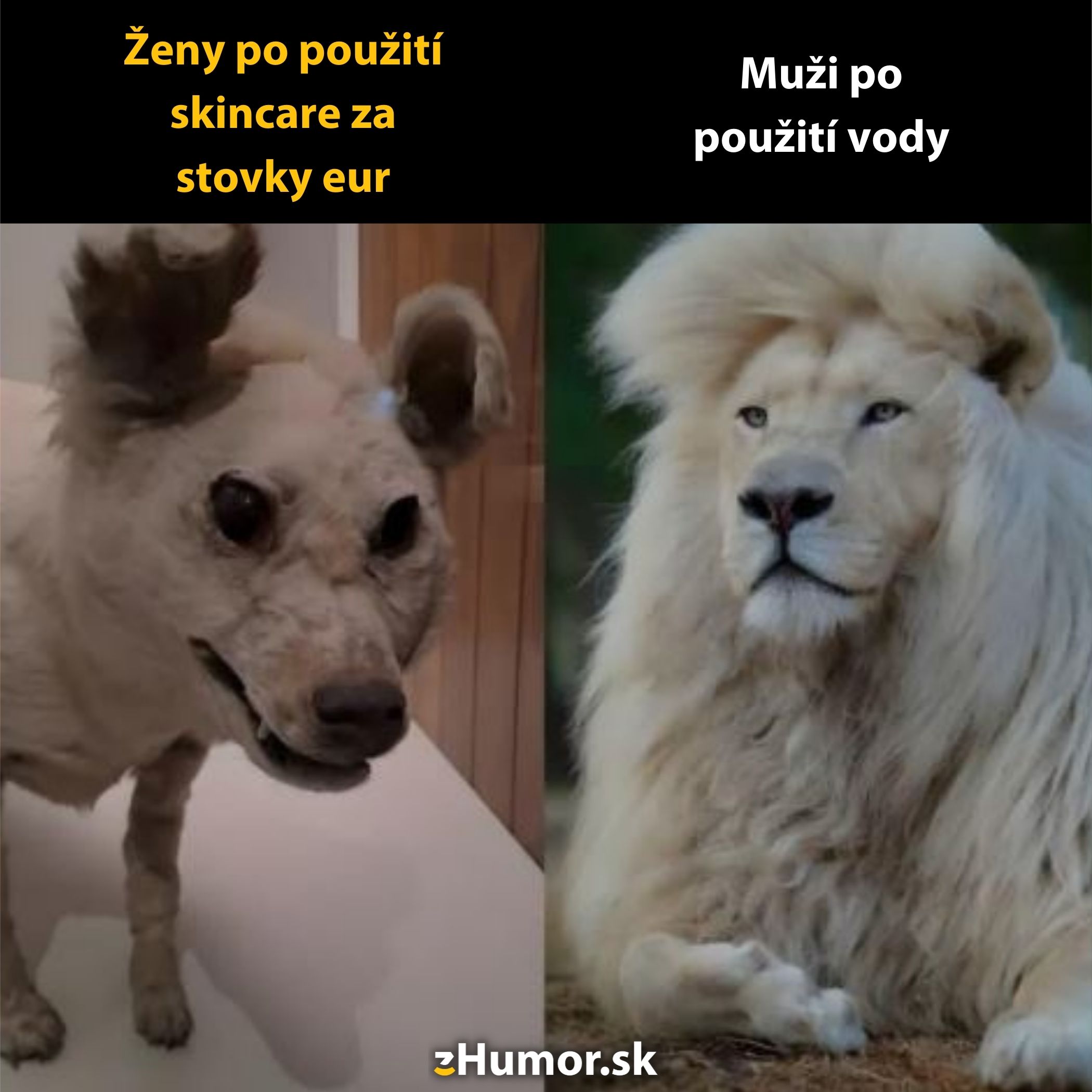 Žartovný obrázok: Porovnanie efektu kozmetiky u žien a jednoduchej starostlivosti u mužov, vyjadrené v podobe zvierat.