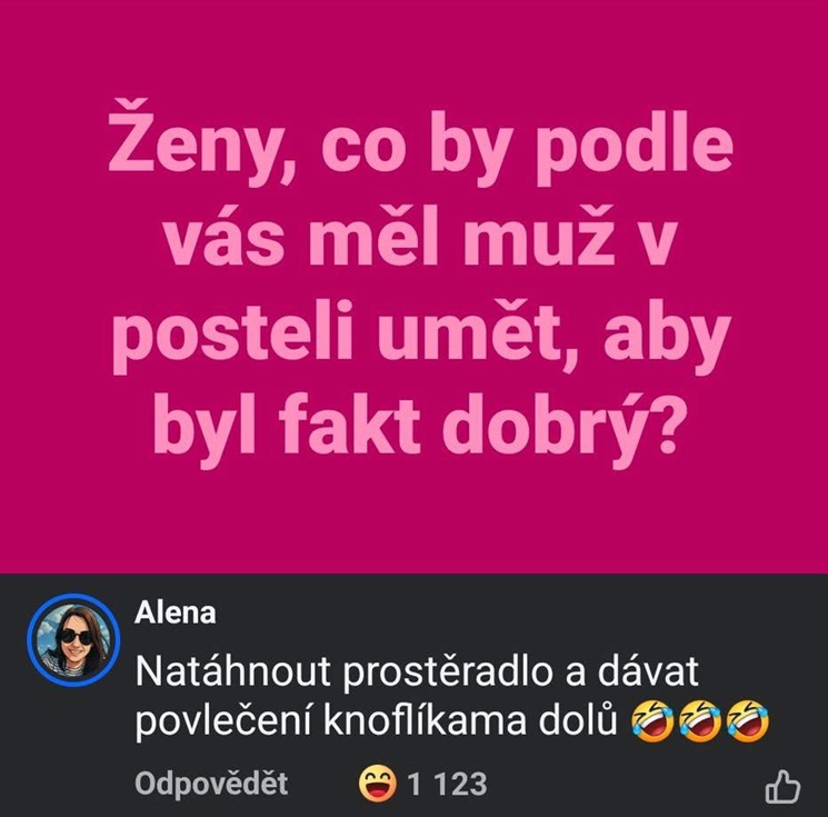 Ženy sa pýtajú, čo by mal muž zvládnuť v posteli; odpoveď: napnúť prestieradlo a dať povlečenie gombíky dole.