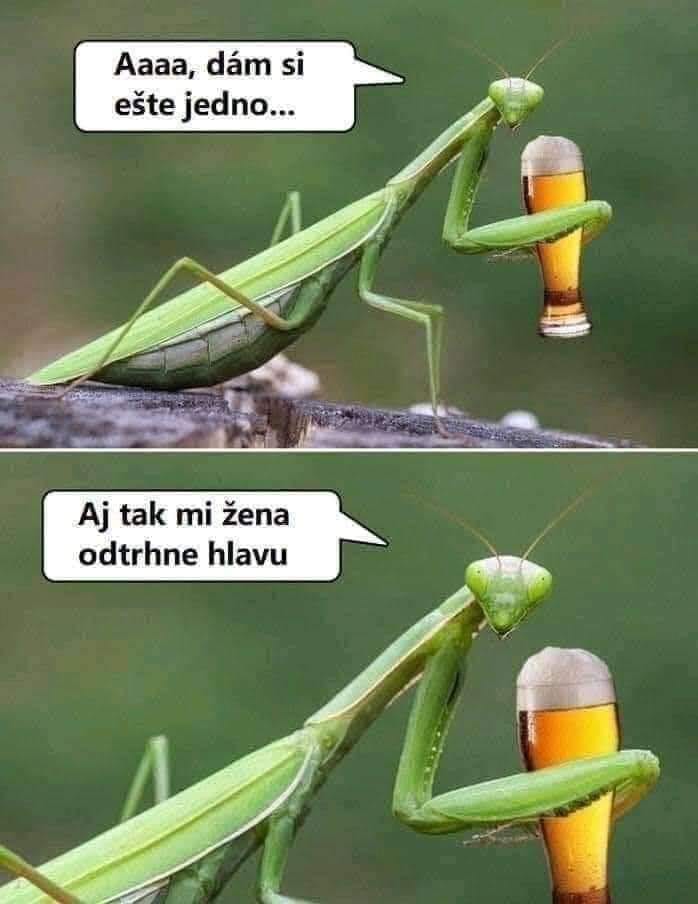 Strašil si s pivom a vtipnou poznámkou: Ešte jedno, aj tak mi žena odtrhne hlavu.