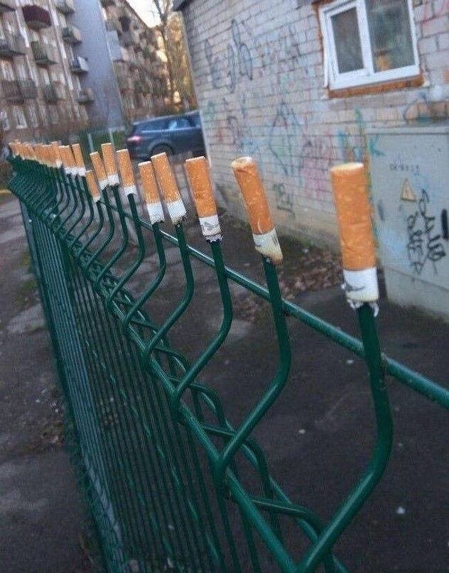 Cigaretové ohorky umiestnené na špičkách plotu v mestskom prostredí. Nezvyčajná dekorácia na zelenej mreži.