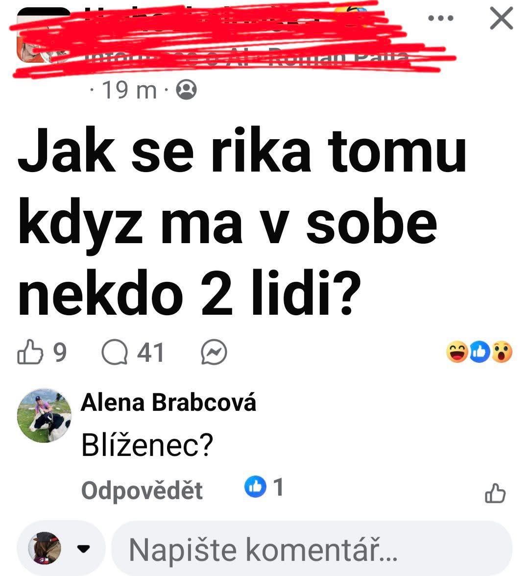 Otázka na sociálnych sieťach o tom, ako nazvať osobu, ktorá má v sebe dve osobnosti. Komentár odpovedá: Blíženec?