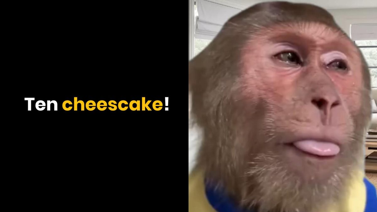 Opička s vyplazeným jazykom vedľa textu Ten cheesecake!, zábavný výjav zo zvieracej kuchárskej šou.