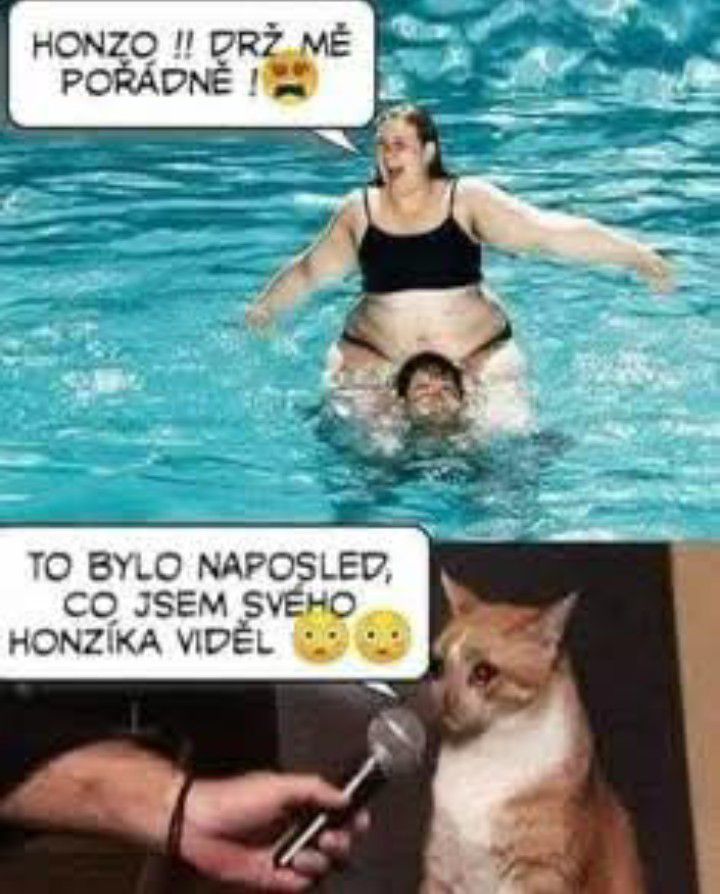 Žena v bazéne na mužových ramenách, mačka rozpráva do mikrofónu, vtipná situácia s vtipným textom v bublinách.