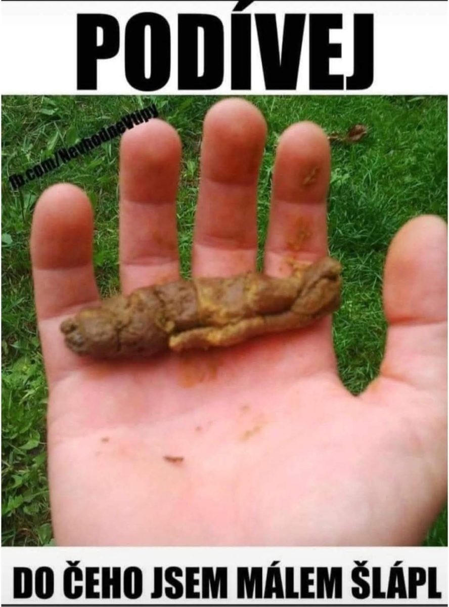Ruka držiaca niečo hnedé, neidentifikované, na tráve. Text hovorí o tom, do čoho sa skoro stúplo.