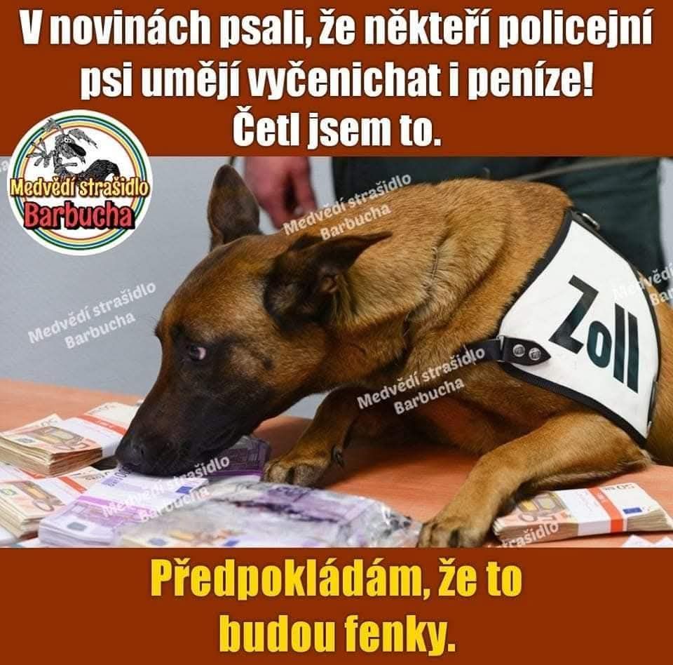Policajný pes očucháva bankovky na stole, na obrázku je text o schopnostiach psov.