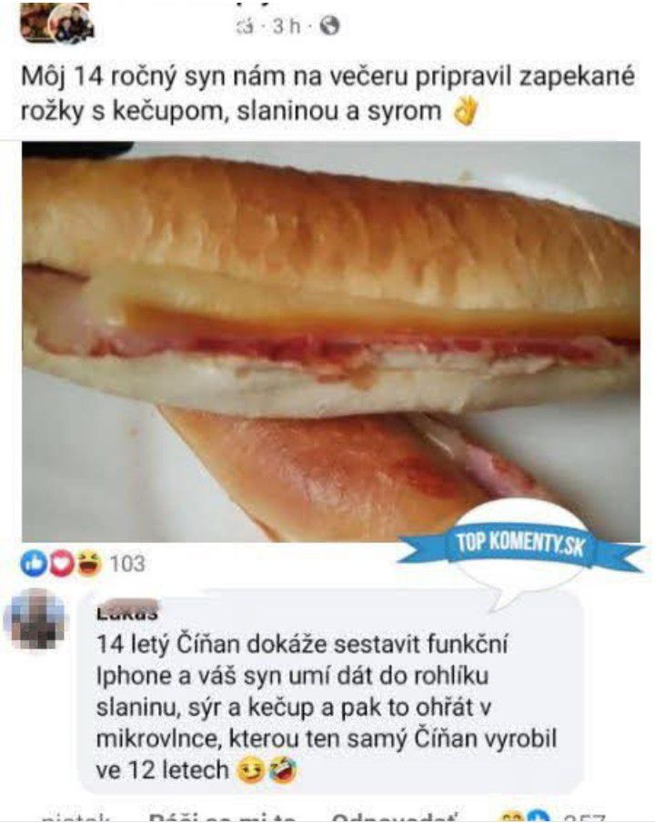 Chlapec pripravil večeru: rožok plnený kečupom, slaninou a syrom, zábavný komentár o mikrovlnkách.