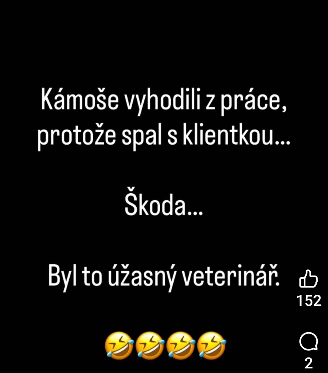 Vtipný text o tom, ako veterinára vyhodili z práce za netradičnú situáciu s klientkou. Obsahuje emócie a smiech.
