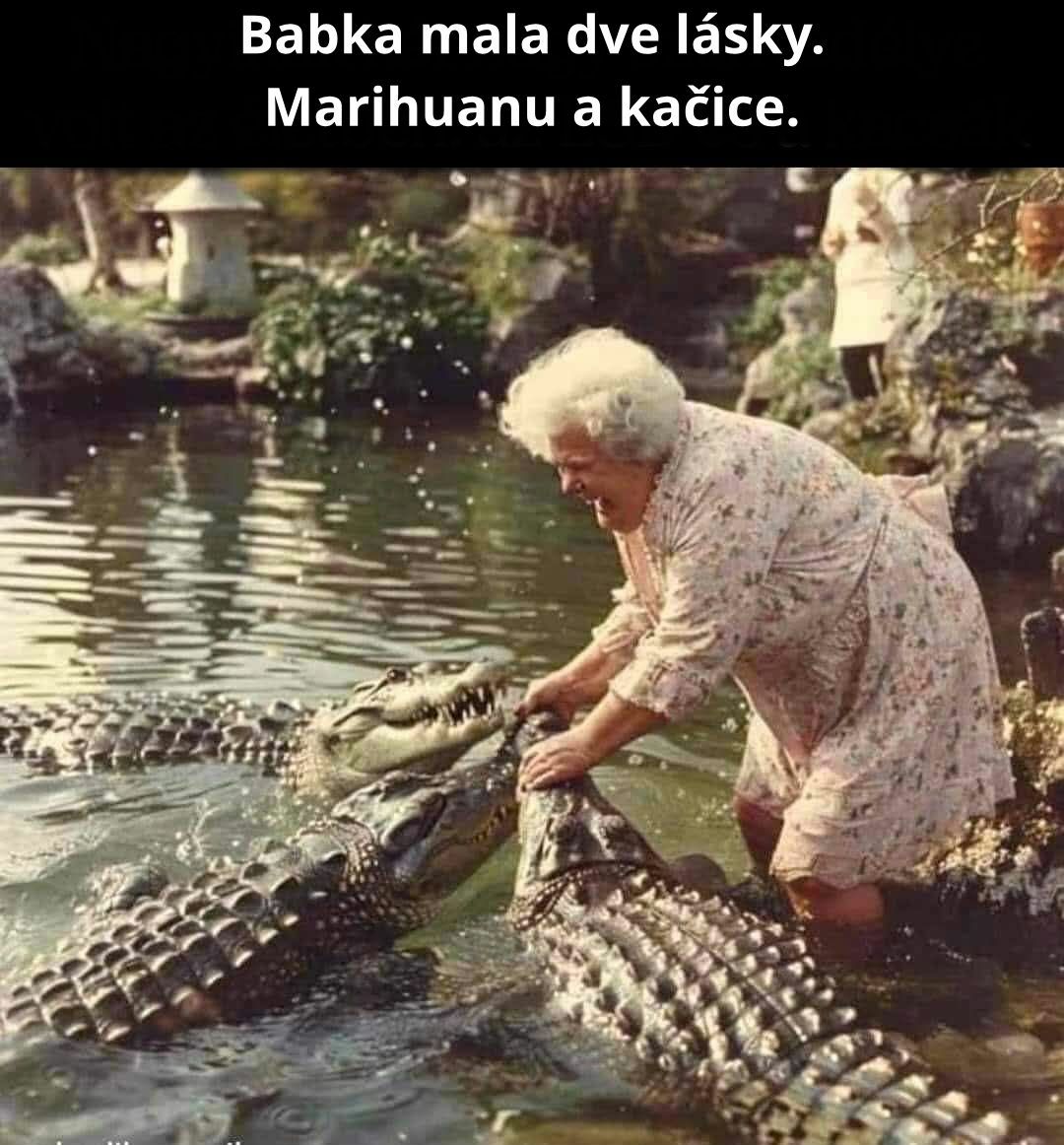 Staršia žena kŕmi aligátorov pri vode v záhrade s vtipným textom na vrchu obrázka.