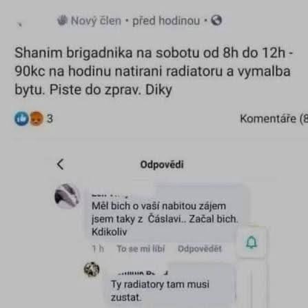 Inzerát hľadá brigádnika na natieranie radiátorov a maľovanie bytu za 90 Kč/hod v sobotu. Komentáre v diskusii.