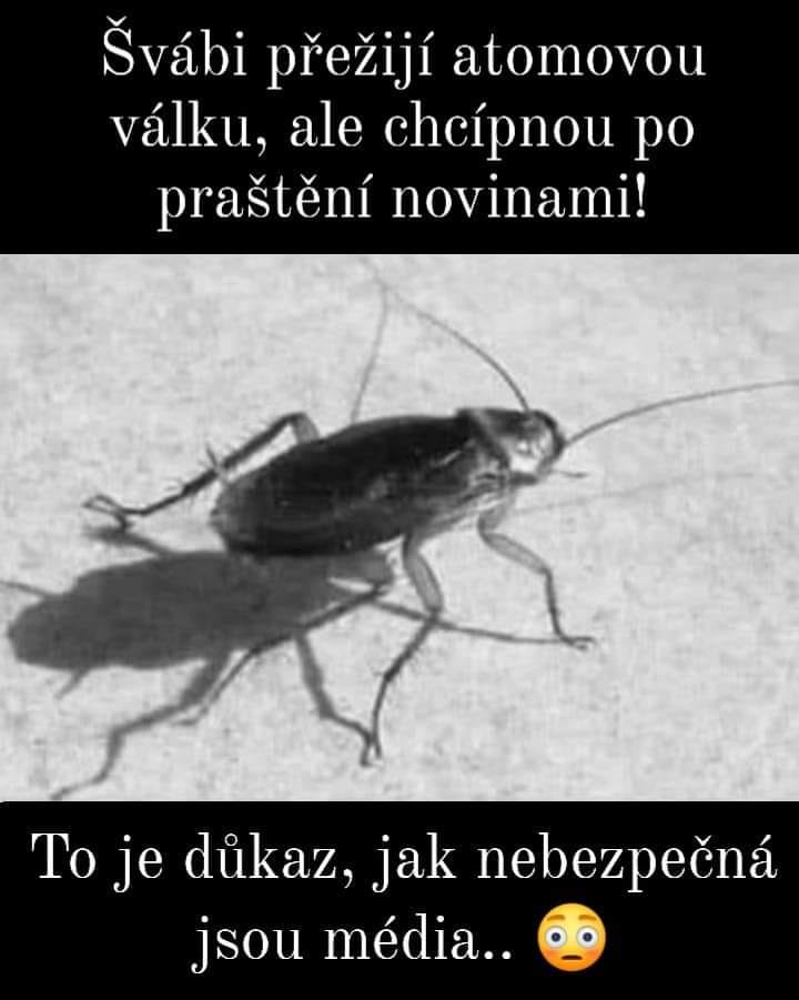 Šváb prežije atómovú vojnu, ale zahynie pod úderom novín; ironický pohľad na silu médií.