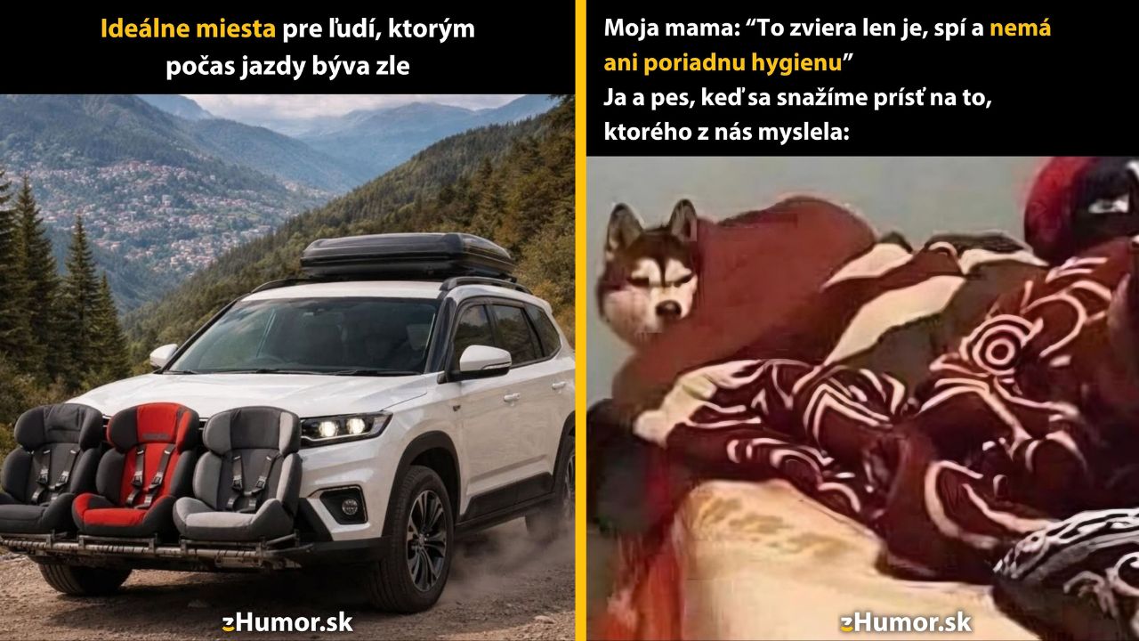 Auto s detskými sedačkami vonku a pes pod dekou, vtipné situácie so zvieratami v domácnosti.