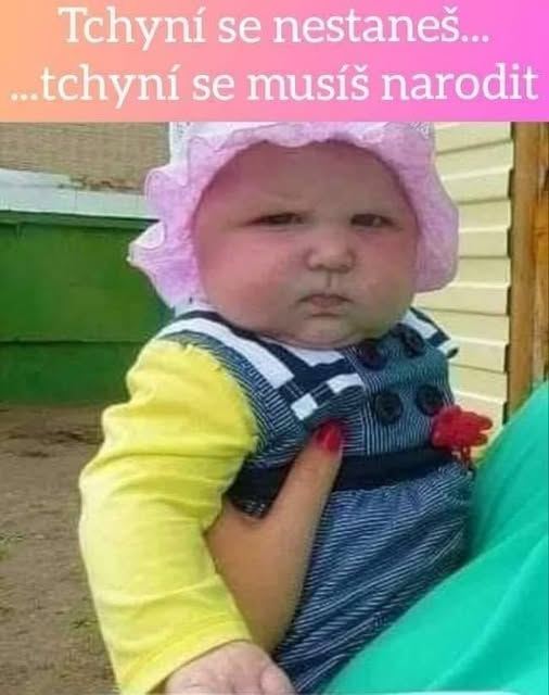 Dieťa v ružovom klobúku s vážnym výrazom, držiace v náručí, text Tchyní se nestaneš....