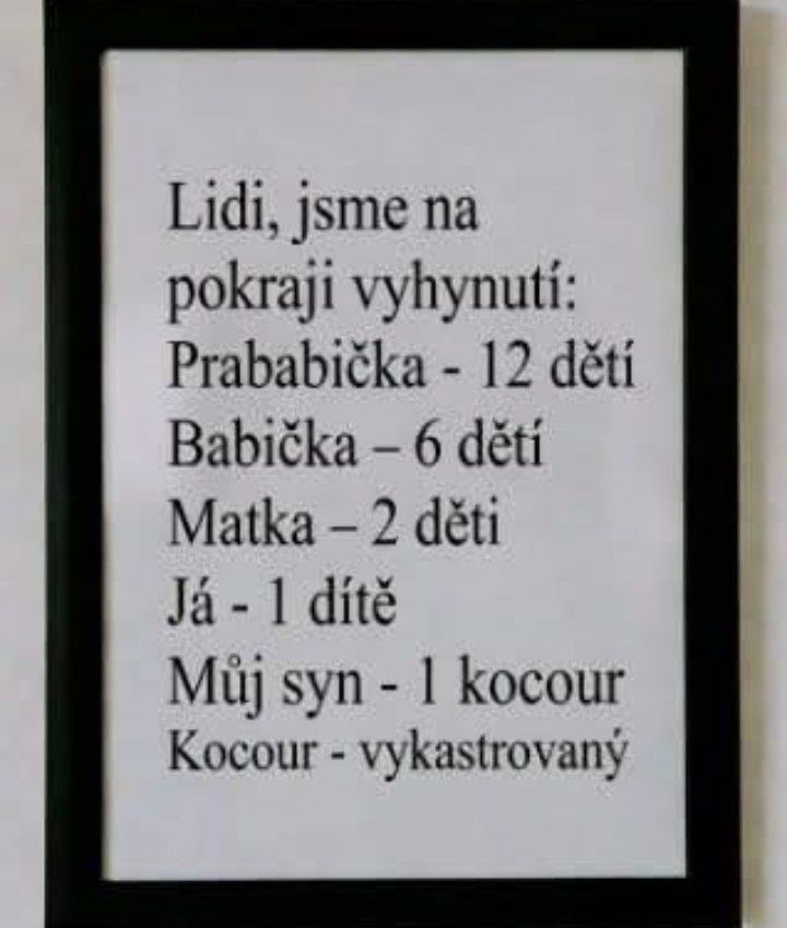 Vtipný rodokmeň ukazujúci, ako sa rodinná veľkosť zmenšila z 12 detí na 1 mačku.
