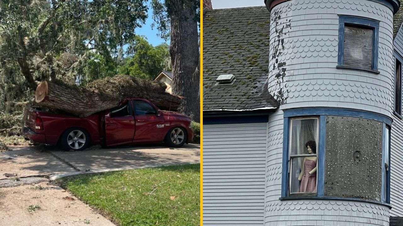 Auto s padnutým stromom a dom s figurínou v okne.
