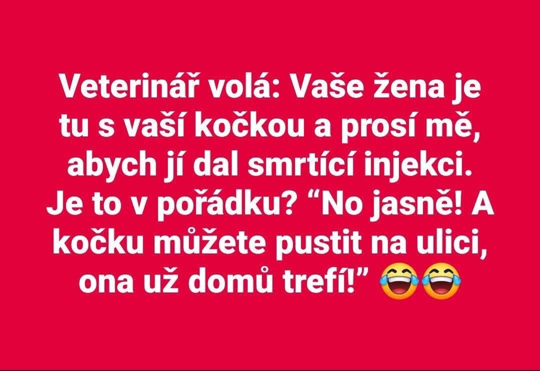 Veterinár volá klienta kvôli vážnej situácii s jeho ženou a ich mačkou. Humor v textovej správe prináša nečakaný zvrat.